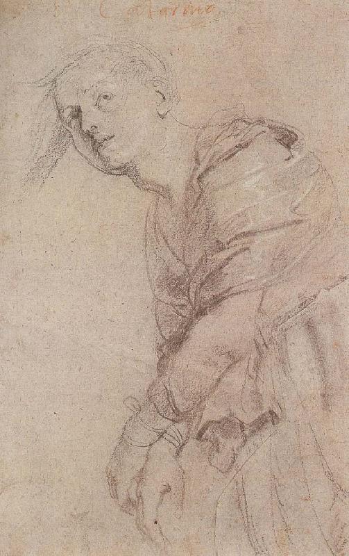Peter Paul Rubens Sketch of Gedelinxidao oil painting image